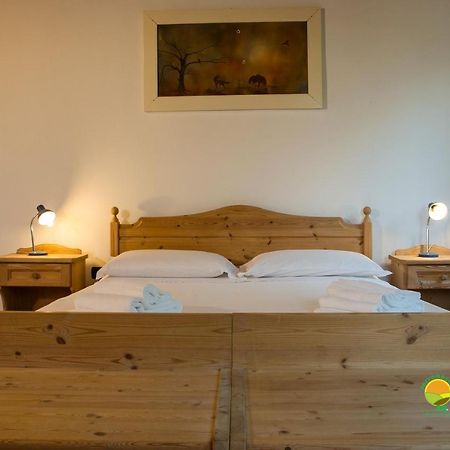Apartamento La Via Antiga Cittanova  Exterior foto