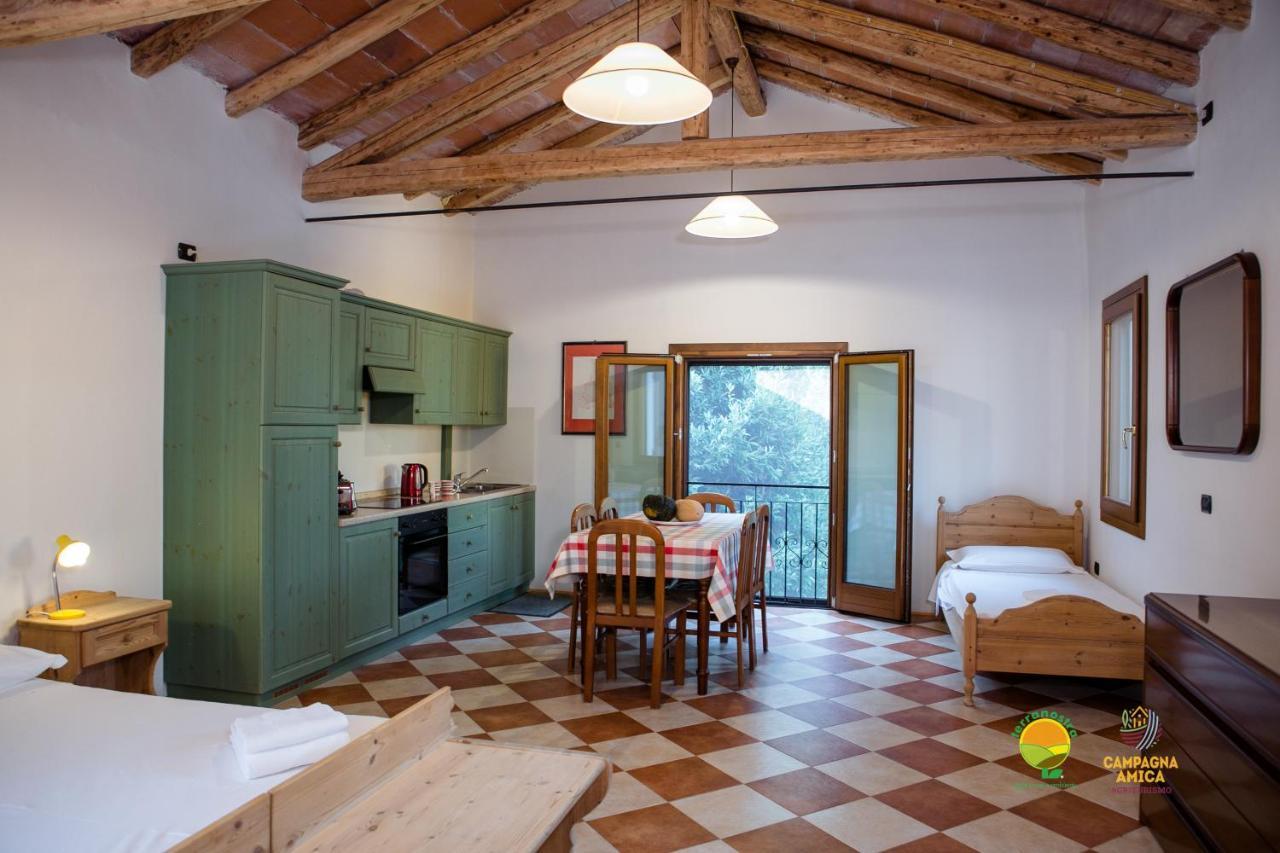 Apartamento La Via Antiga Cittanova  Exterior foto