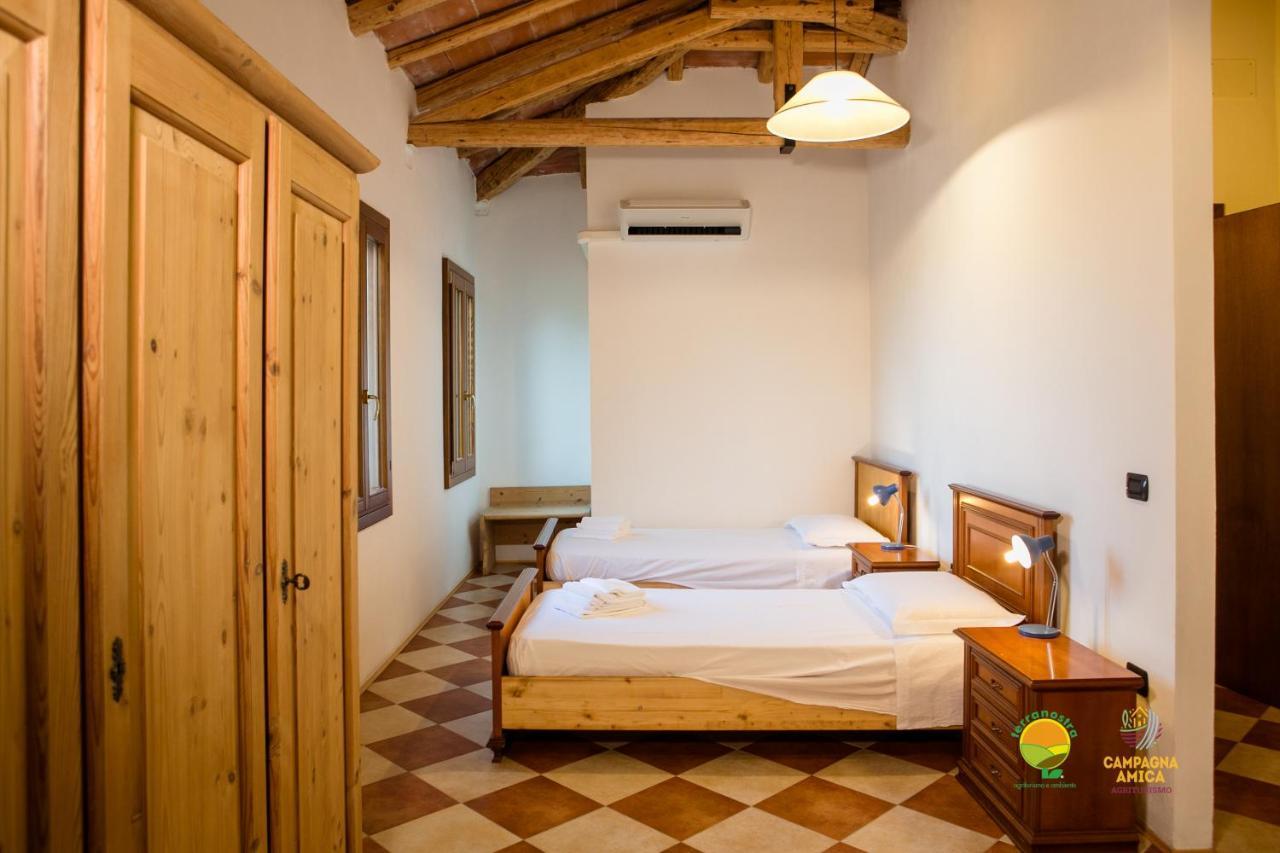 Apartamento La Via Antiga Cittanova  Exterior foto