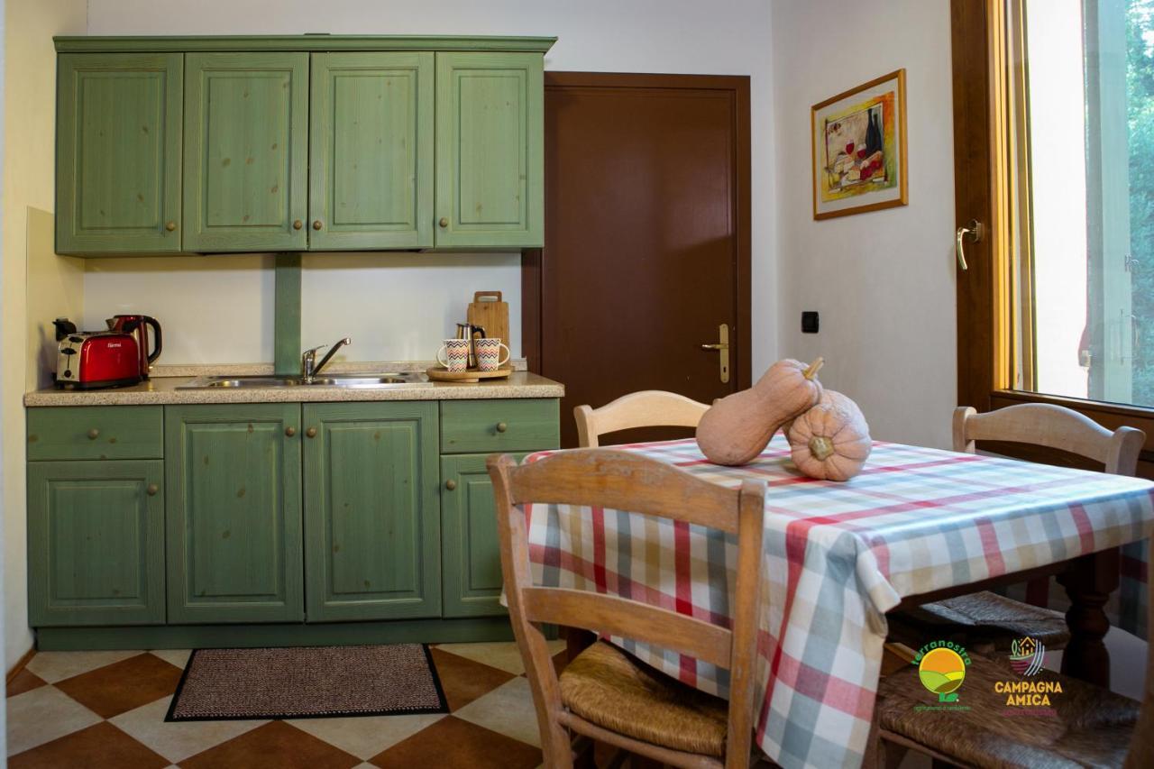 Apartamento La Via Antiga Cittanova  Exterior foto