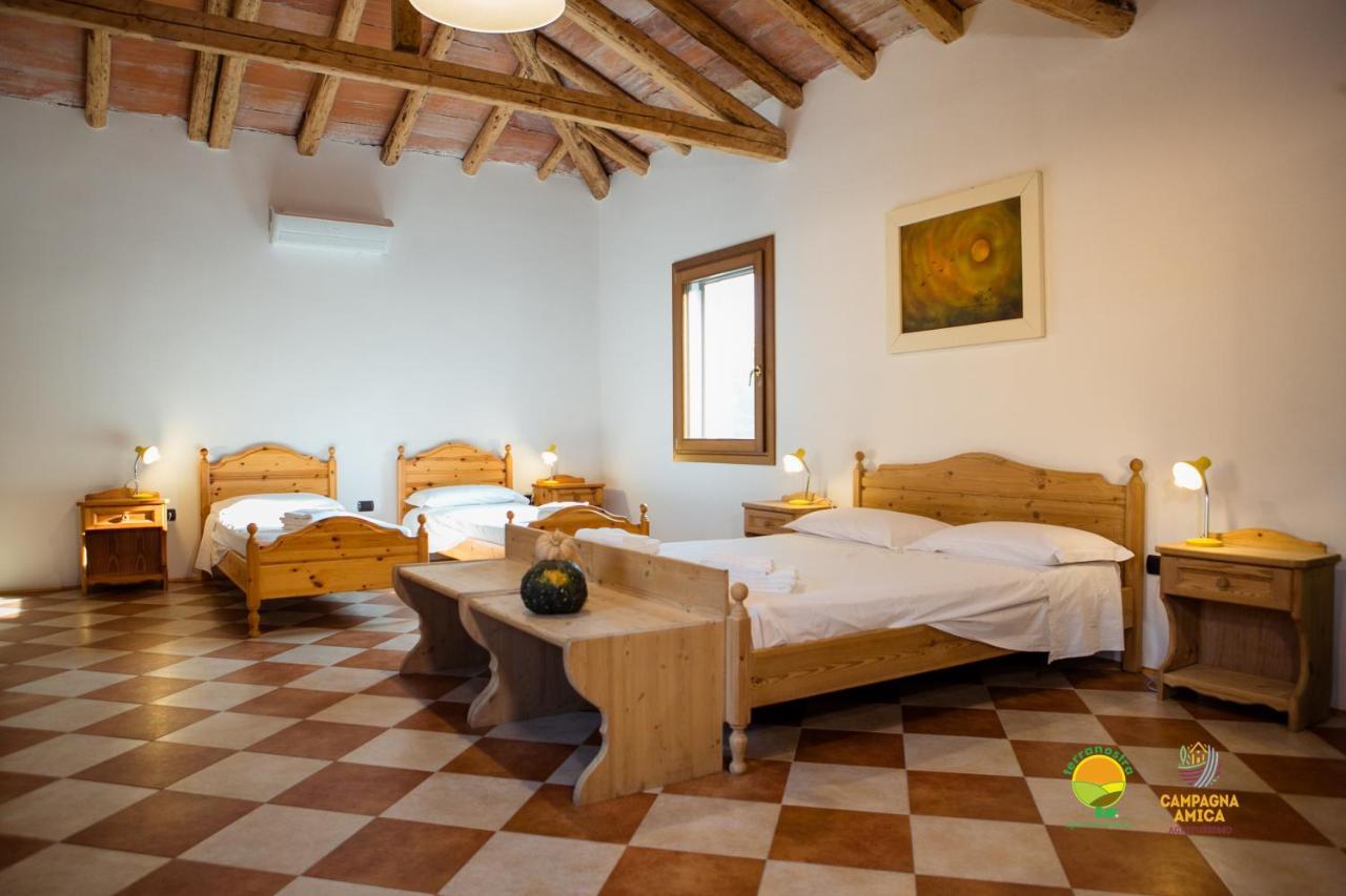 Apartamento La Via Antiga Cittanova  Exterior foto