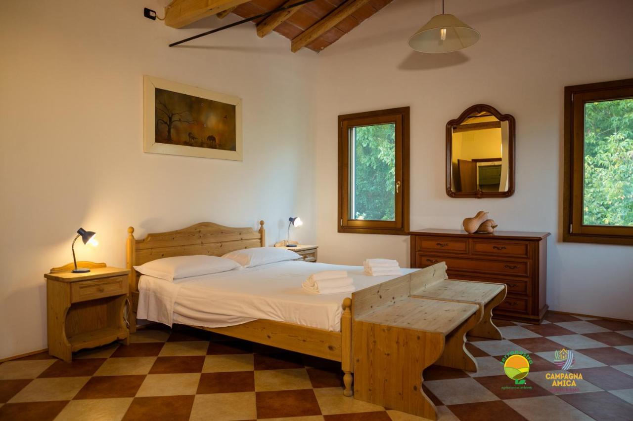 Apartamento La Via Antiga Cittanova  Exterior foto