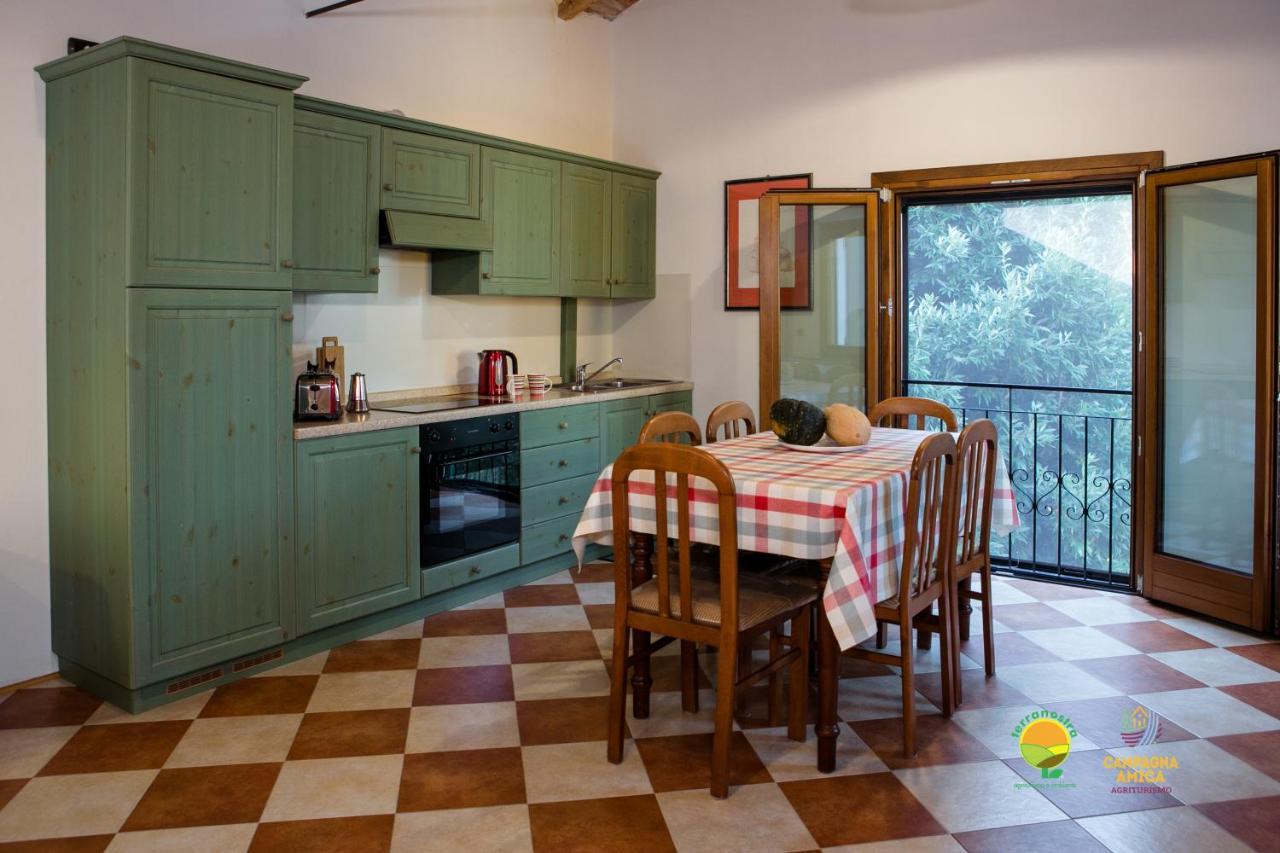 Apartamento La Via Antiga Cittanova  Exterior foto