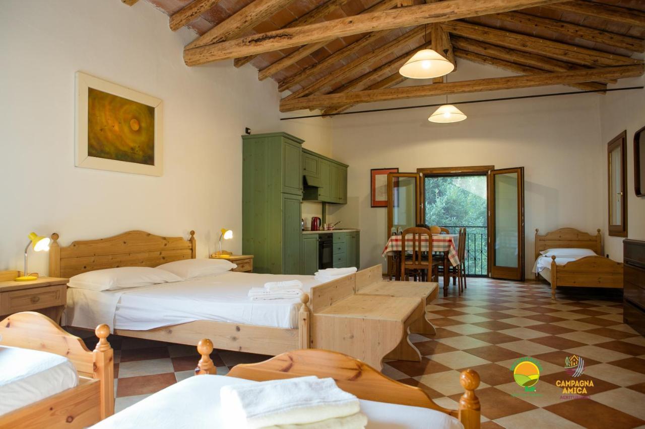 Apartamento La Via Antiga Cittanova  Exterior foto
