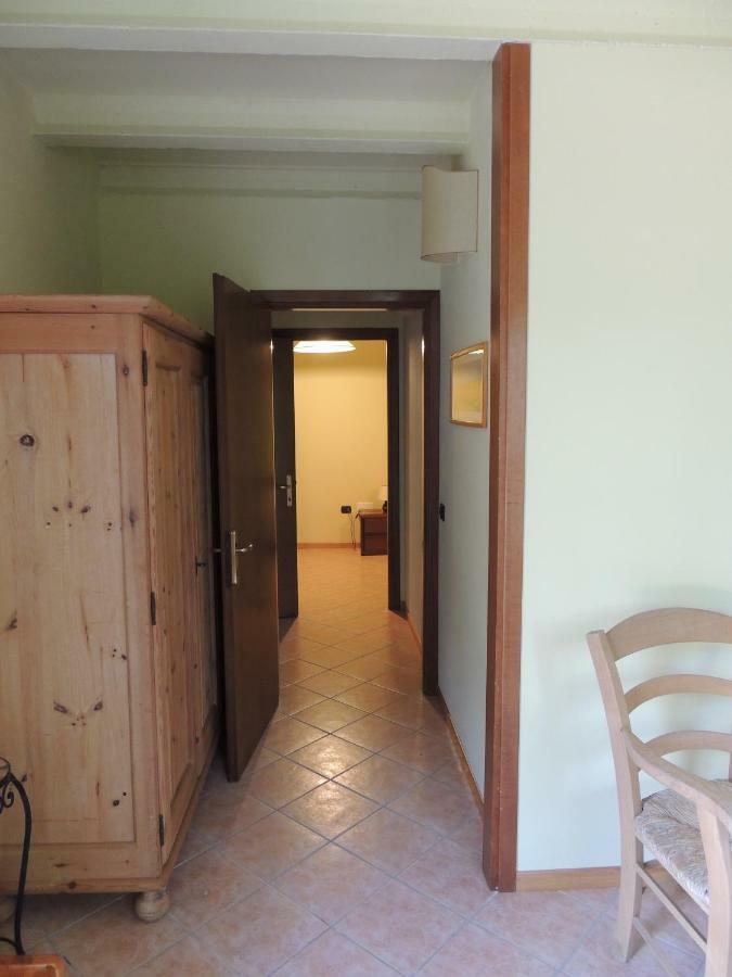 Apartamento La Via Antiga Cittanova  Exterior foto