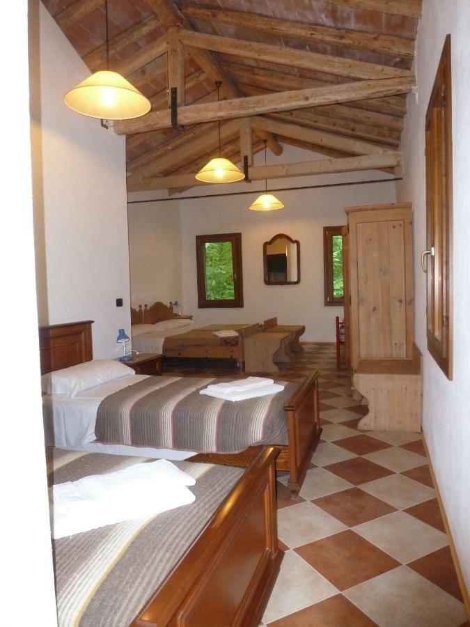Apartamento La Via Antiga Cittanova  Exterior foto